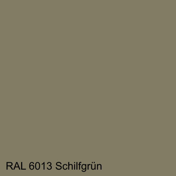 Schilfgrün   RAL 6013