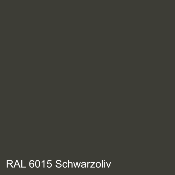 Schwarzoliv   RAL 6015