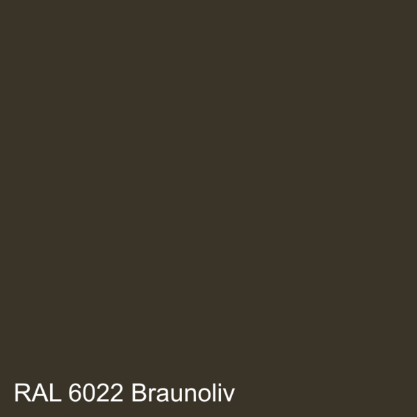 Braunoliv   RAL 6022
