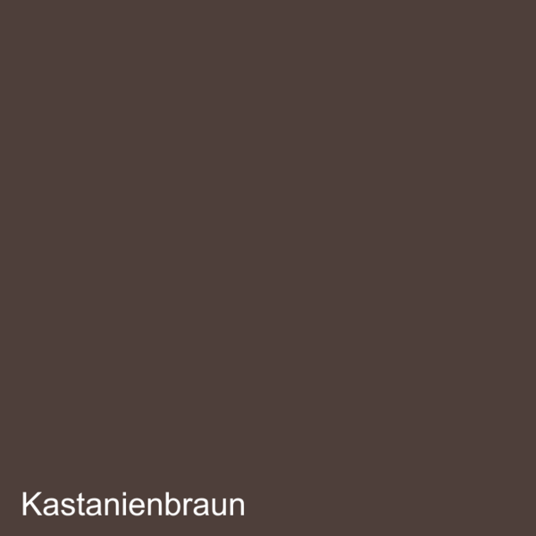 Lederfarbe Audi Kastanienbraun