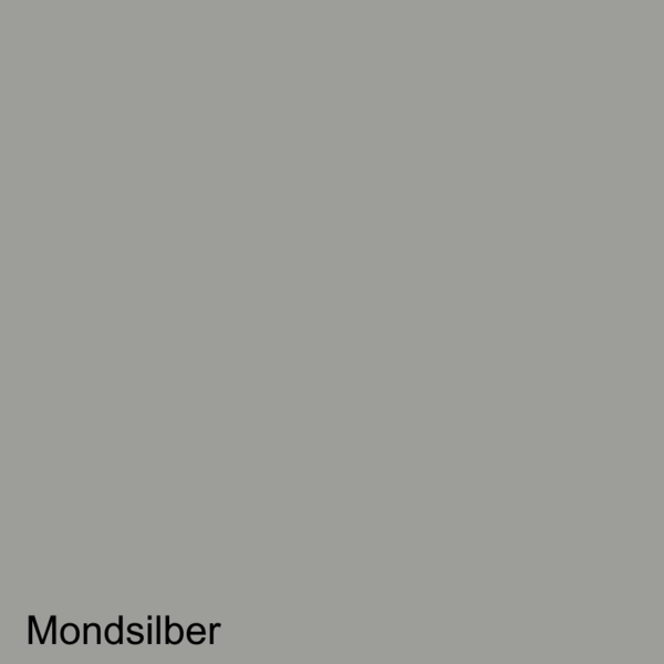 Lederfarbe  Audi Mondsilber