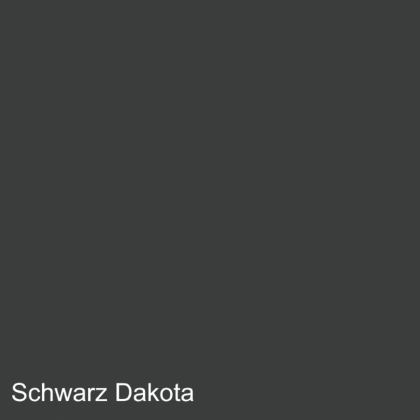 Lederfarbe BMW Schwarz Dakota